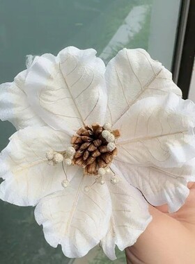 进口木兰花通草干花家庭瓶插花花束居家装饰拍摄道具永久