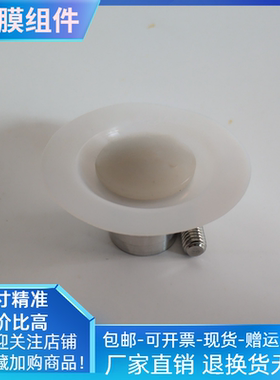 米顿罗计量泵隔膜组件GM0025PL1MNNGM0050PL1M25SP50TPMilton适配