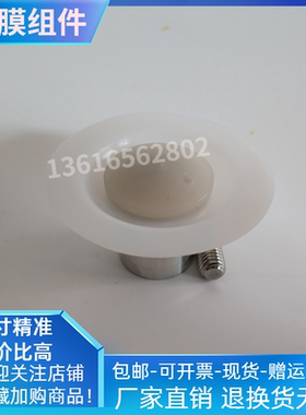 南方计量泵隔膜组件GM0025PR1MNNGM0050PL1MGM025SPGM50TPCNP适配