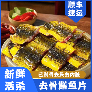 活鱼现杀去骨去头鳝鱼片商用半成品剔骨新鲜冷冻黄鳝肉厂家直供