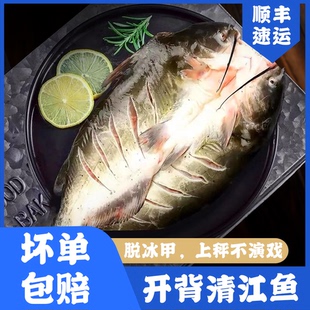 开背清江鱼商用新鲜冷冻烤鱼半成品腌制叉尾鮰鱼免处理大号青江鱼