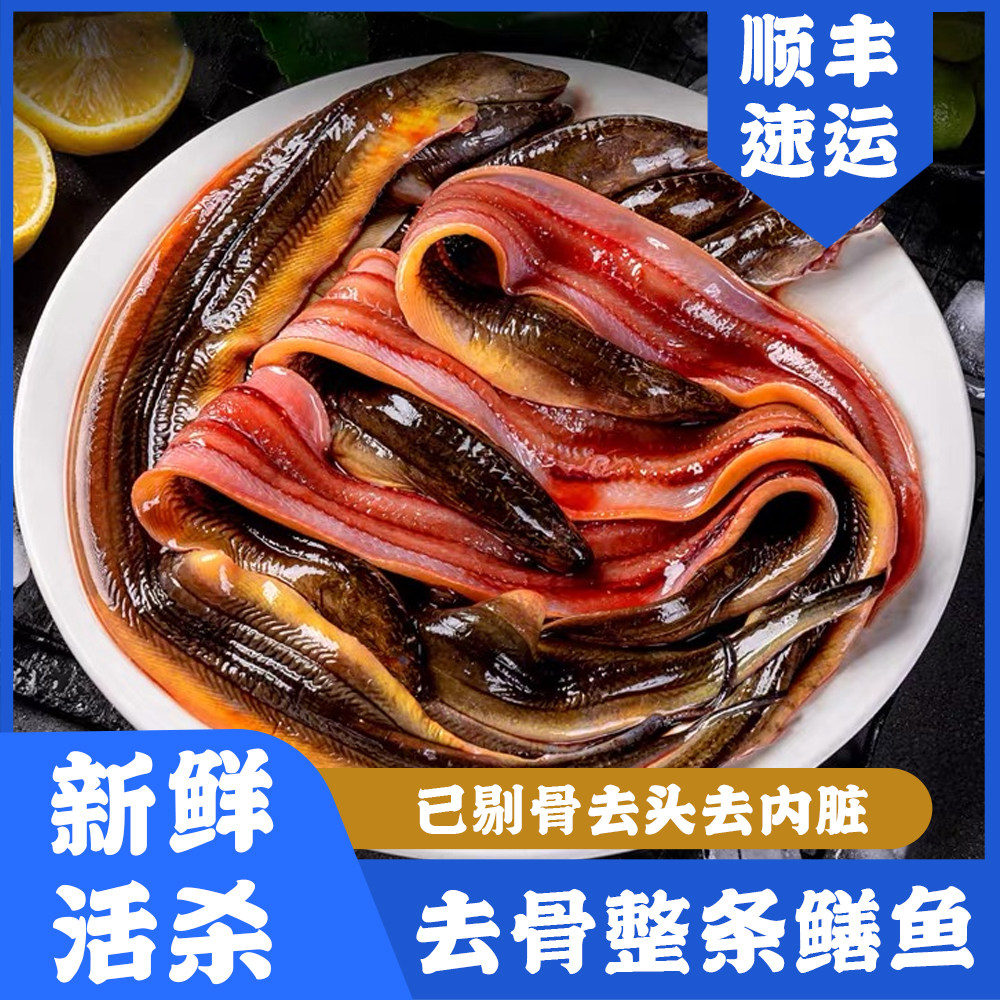 整条鳝鱼片去骨去头商用半成品剔骨厂家新鲜冷冻黄鳝肉活鱼现杀