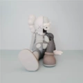 Gray Boxed 23cm - Sitting Anatomy