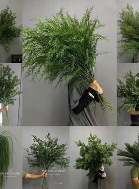 新款野生感墨绿色深绿色森系绿植千层金芦荀草尤加利酒店橱窗
