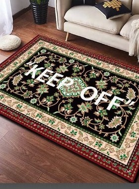 跨境潮牌简约家用地毯水晶绒材质客厅卧室茶几垫 入户门口蹭脚垫