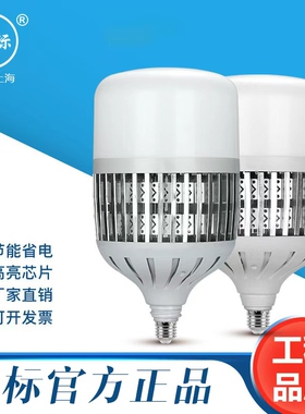 亚标led灯泡球泡E27E40螺口50w80w100w150w200w工厂车间超亮