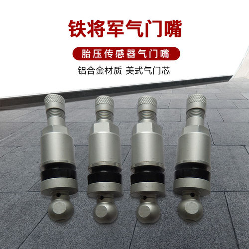 传感器气门嘴车志欣铁将军