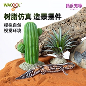 玩酷WACOOL爬宠箱造景蜥蜴躲避屋守宫蛇爬缸装 饰鱼化石仙人掌摆件