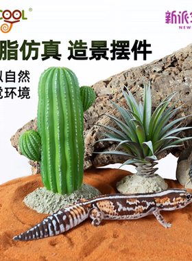 玩酷WACOOL爬宠箱造景蜥蜴躲避屋守宫蛇爬缸装饰鱼化石仙人掌摆件