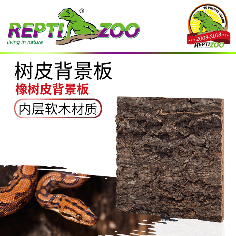 新派宠物reptizoo爬虫背景