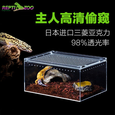 新派reptizoo亚克力饲养盒爬宠角蛙守宫蜗牛面包虫造景箱生态缸