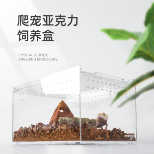 新品 新派WACOOL玩酷亚克力饲养盒守宫陆龟角蛙蜘蛛透明爬宠造景饲