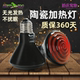 Reptizoo陶瓷加热灯爬宠爬虫陆龟刺猬蜥蜴守宫取暖保温箱发热灯泡