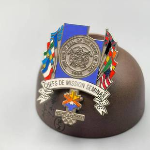 2002年盐湖城冬奥会烹饪裁判徽章 盐湖城第一家族-恐龙夜光徽章