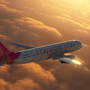 代购 正版 A320 微软模拟飞行：Fenix