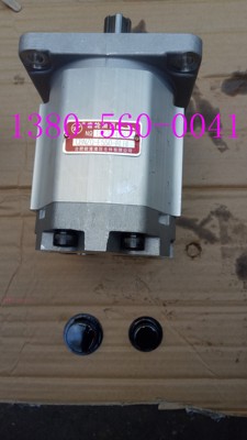 合肥皖液液压 后盖进出油 CBNZQ-F550-BLHL 垃圾环卫车 液压油泵