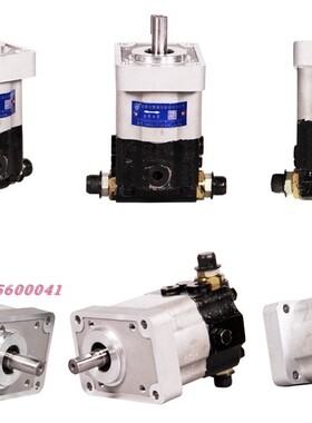 合肥长源齿轮泵 复合双向齿轮油泵  循环液压泵CBWS/F-D314-CLPS