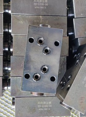 江苏鼎晟液压SO-G10B-00双向液压锁SO-H10L-15江都力顿SayanFluid