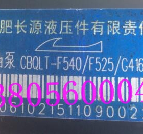 齿轮泵CBQLT-F540  F525  G416-CLH 打包废纸机HCHC合肥长源液压
