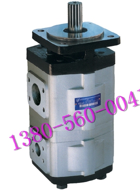 液压泵 CBZ2100/2020-BFHL 合肥长源液压  双联齿轮泵 液压机油泵