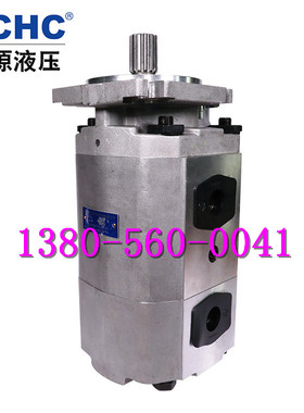 合肥长源液压齿轮泵CBKP100/100-BFH齿轮油泵原装正品&假一罚十