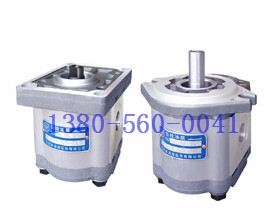 CBW-F310-ALH4齿轮油泵合肥赛源