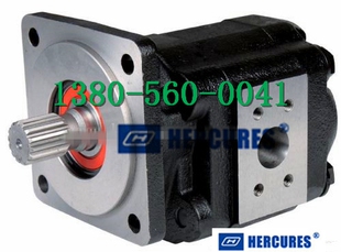 齿轮泵Hercules 海克力斯 HP76A678BETP20 Co.Ltd Pump