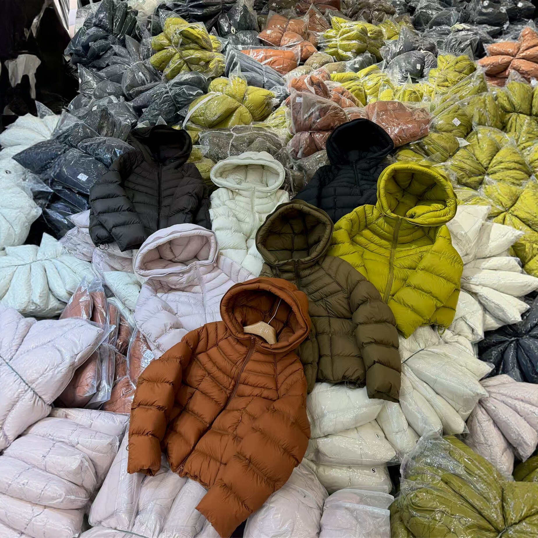欧洲站轻薄连帽羽绒服女短款面包服纯色百搭拉链保暖外套排骨服潮