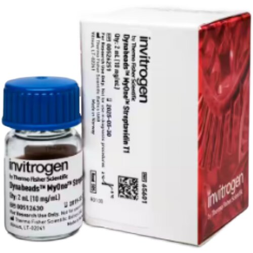 ThermoFisher 65604D Dynabeads™ MyOne™ 链霉素亲和素 T1 50ML