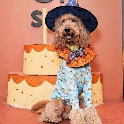 DOGDEPT不粘毛除静电四脚裤