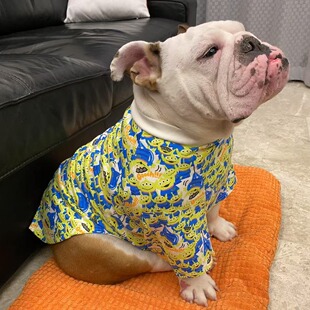 【大码胖狗家居服T恤】全棉换毛掉毛英牛大型狗衣服金毛拉不拉多