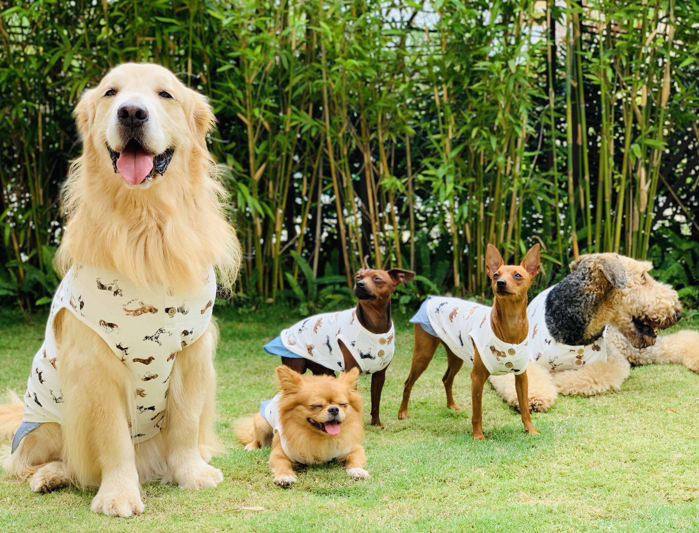 【DOG DEPT】满印全棉狗狗图案背心连衣裙宠物衣服大狗小狗福利款