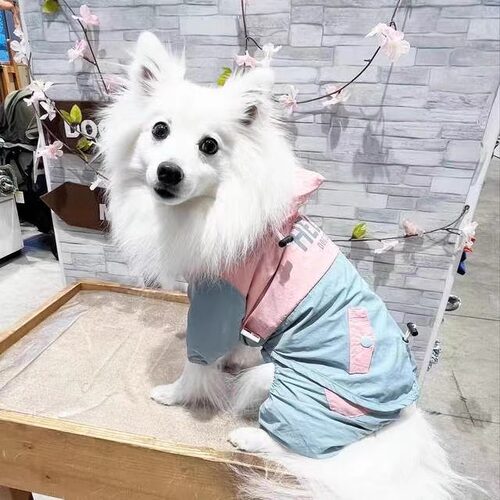 轻薄防风防晒户外衣巨贵