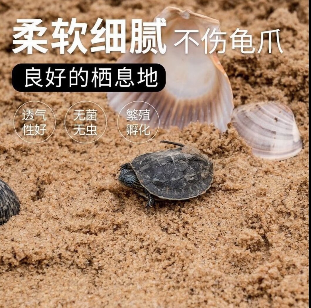 乌龟纯天然用细河沙鱼缸两用铺底石底砂草龟流鱼缸底沙陆泥鳅一体