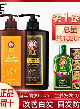 霸王生姜首乌控油洗发水