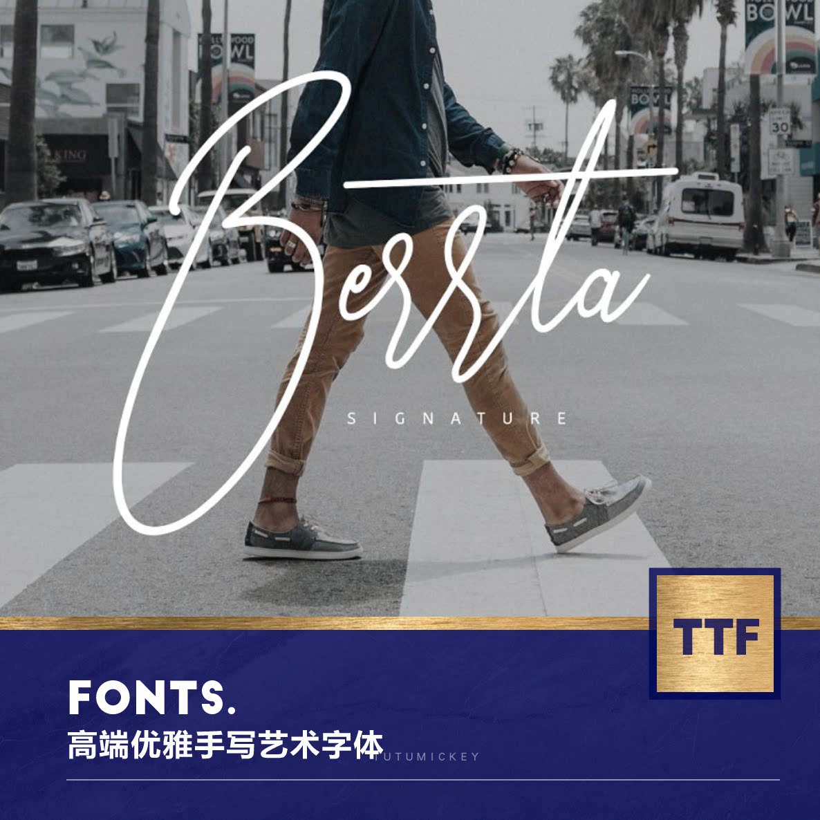 423004 国外高端手写优雅签名英文字体berrta signature font