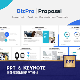 BizPro_Powerpoint_v2 2019
