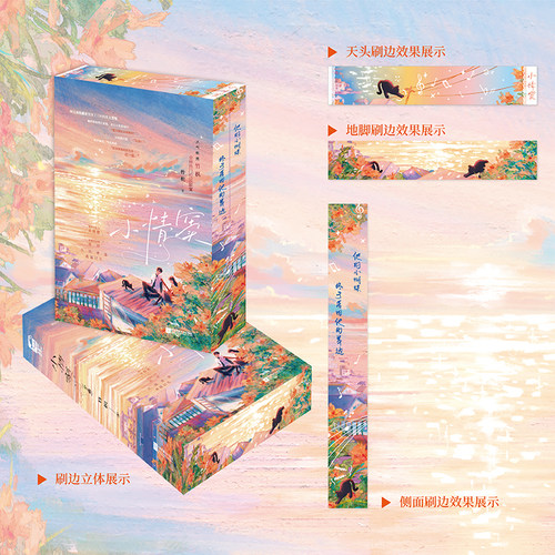 【刷边版印特签】小情窦 竹枳著 校园甜宠久别重逢契约 小说言情实体书 大鱼FX
