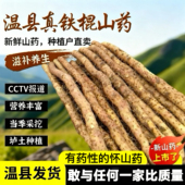 正宗河南焦作温县垆土铁棍山药怀山药产地直发特产香糯净重5斤