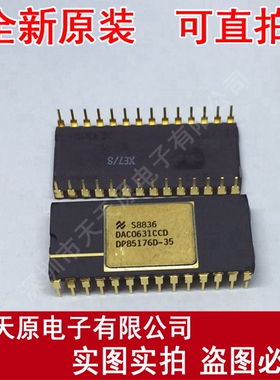 DP85176D-35 DAC0631CCD PDIP金原装正品100% 现货直拍 量大价优
