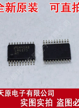LM4873MT	TSSOP20  原装正品100% 现货直拍 量大价优