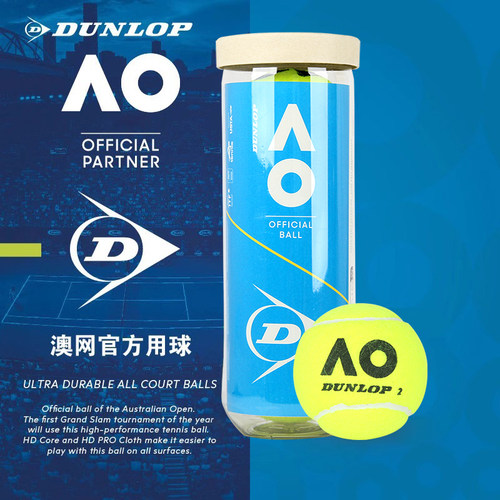 DUNLOP专业耐打网球多场地用球
