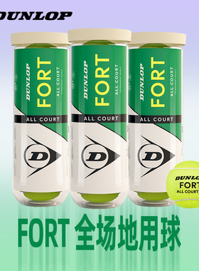 Dunlop邓禄普网球FORT精英级全场地耐磨高弹网球3粒装比赛专用球