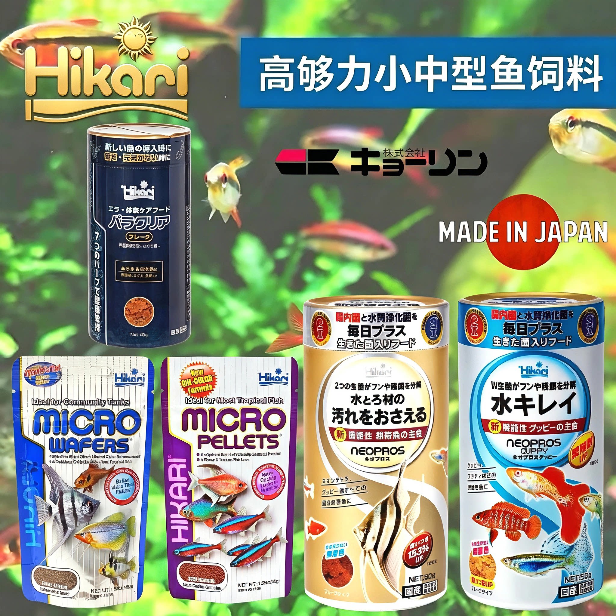 日本进口高够力饲料热带小型灯鱼斗鱼孔雀鱼鳉鱼神仙短鲷慈鲷鱼食