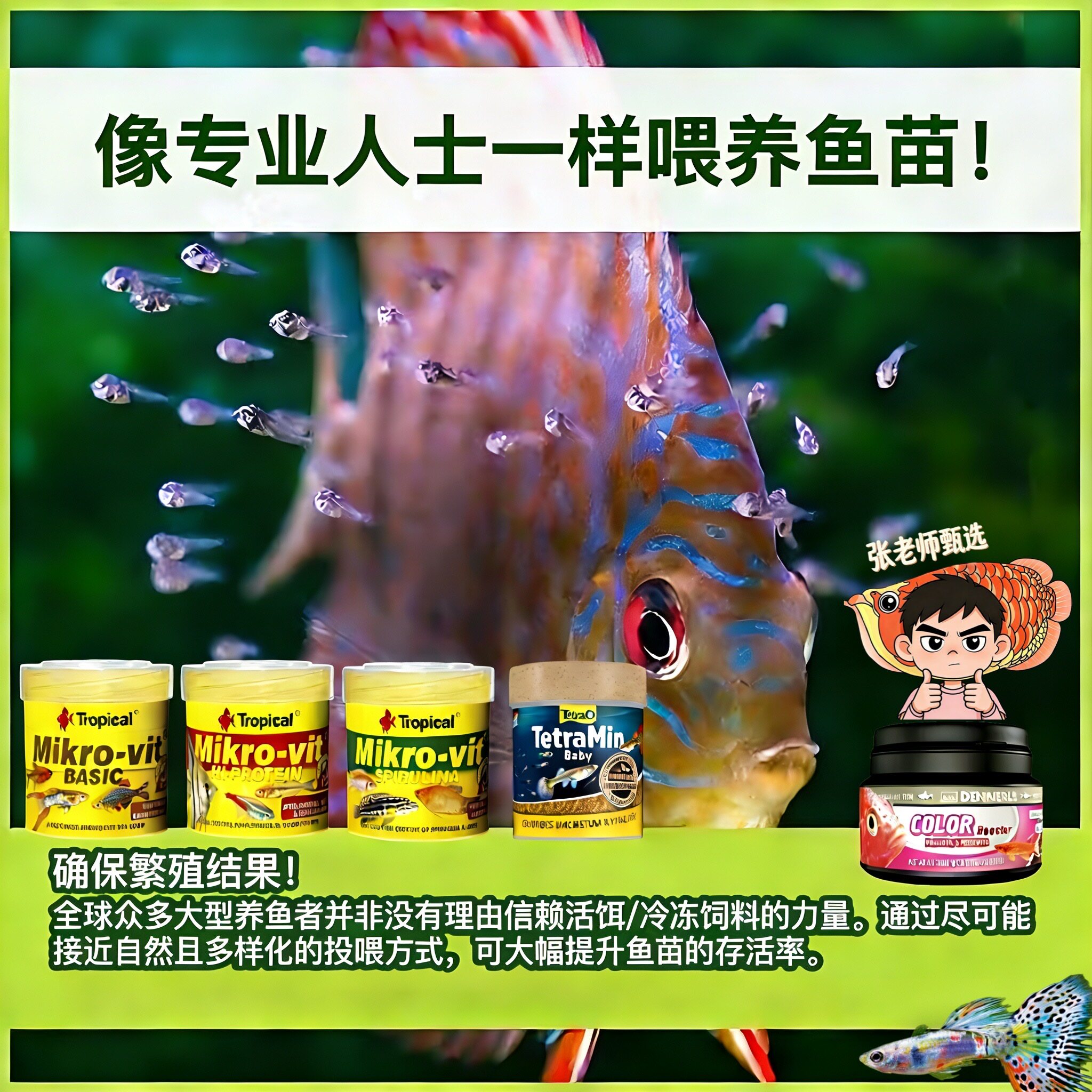 德彩小颗粒热带鱼饲料灯卷贝孔雀慈鲷神仙燕金波子幼鱼baby/mini