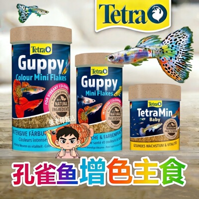 德彩Guppy孔雀鱼主食饲料增色薄片热带鱼幼鱼开口饲料小型鱼靓丽