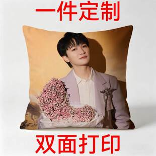 来图定制男明星张凌赫刘宇宁抱枕办公腰垫车载演唱会应援周边礼物