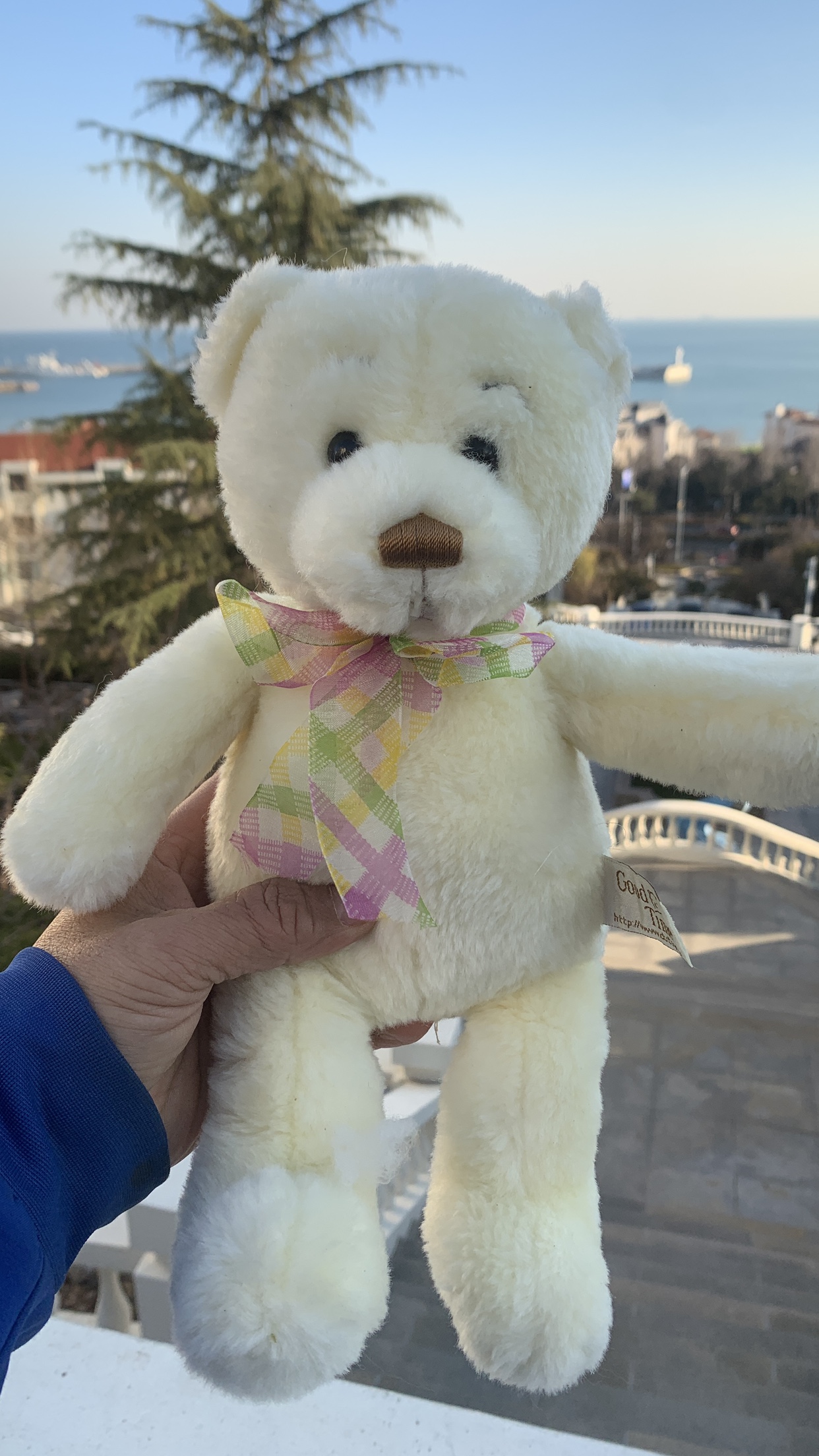 240107外贸出口原单老款大有好时光泰迪熊公仔正版毛绒玩具高30cm