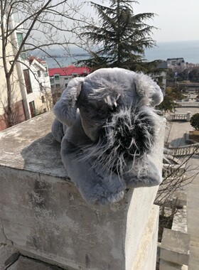 230305正版出口原单老款趴姿灰色雪纳瑞胡子狗公仔38厘米毛绒玩具