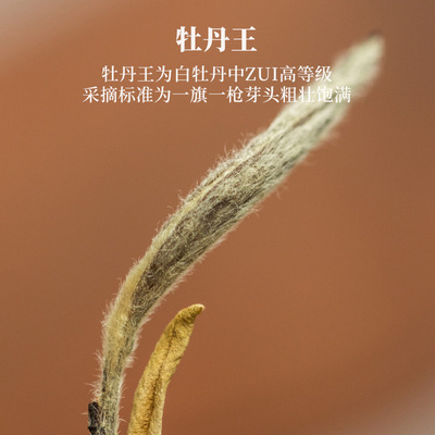 [高尖货]弄子里2006年抛荒牡丹王50g/250g福鼎磻溪特级白牡丹白茶